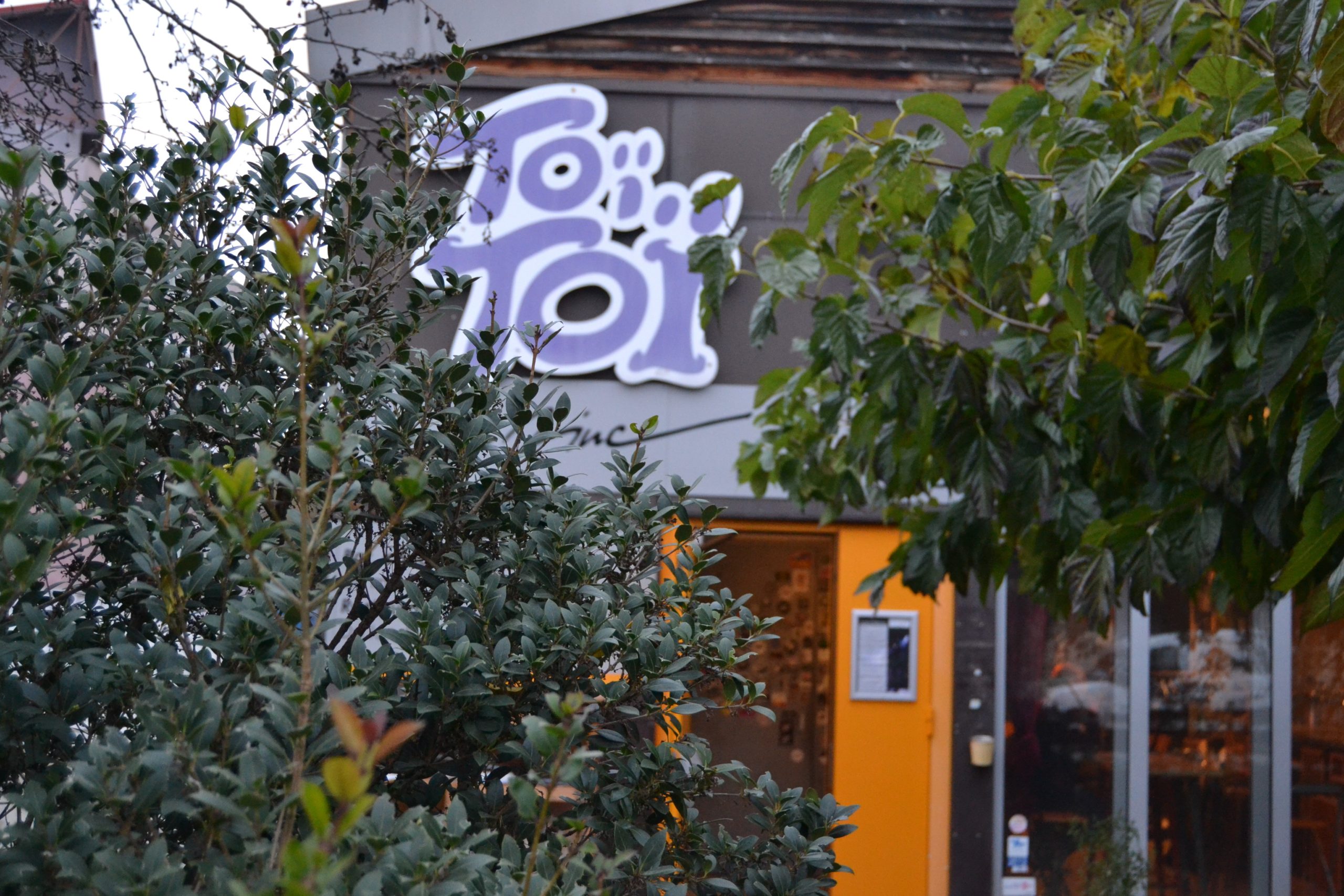 Toï Toï le Zinc, social and cultural place –