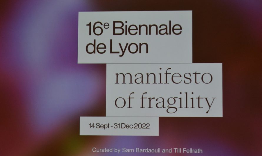 Biennale d’art contemporain de Lyon : les artistes « viennent ensemble écrire ce manifeste de la fragilité »