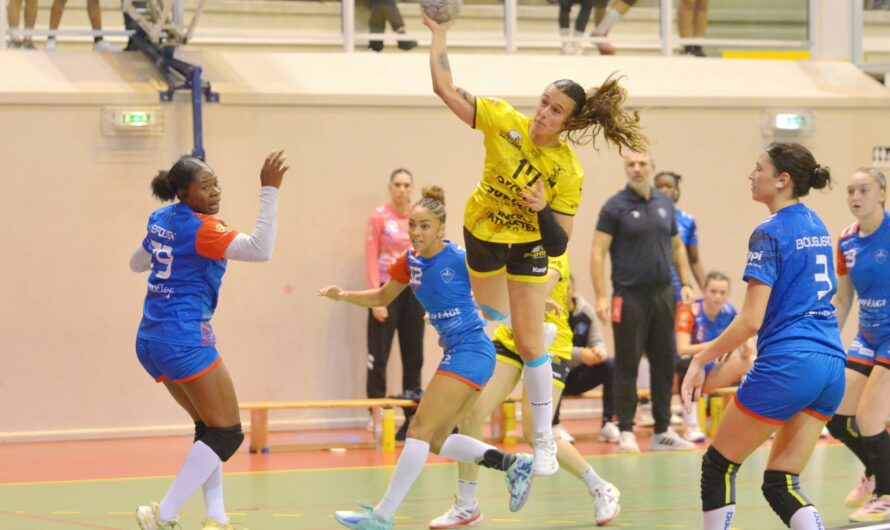 D2 Hand féminin : Les Black Eagles donnent un coup de bec aux Lionnes