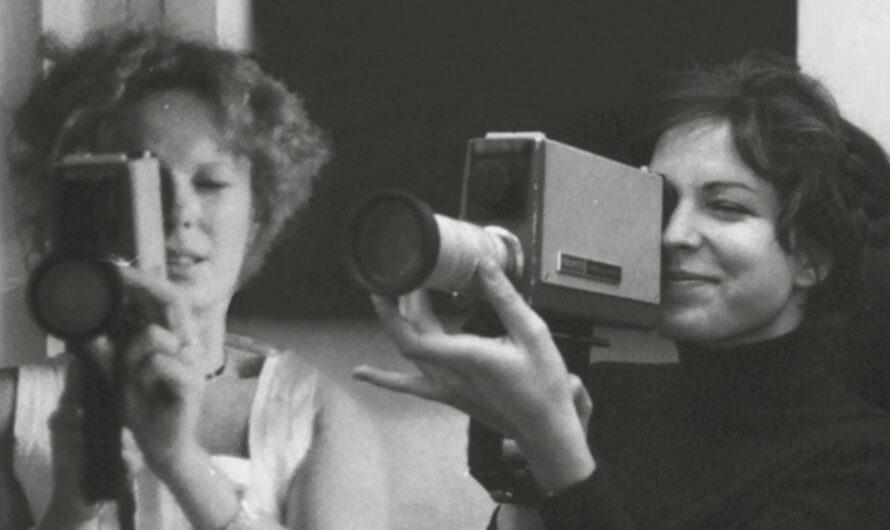 Delphine et Carole, les dessous d’un duo subversif