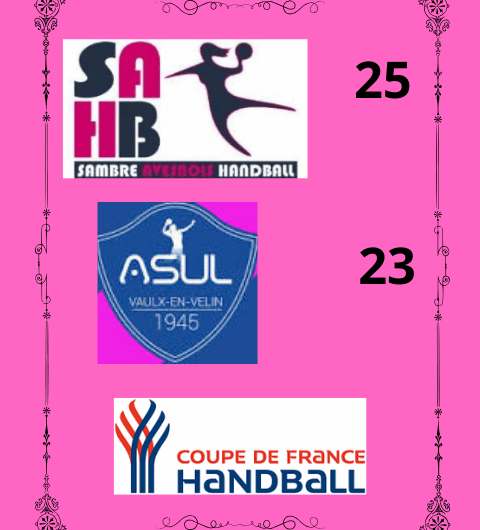 Handball : Une défaite sans rougir