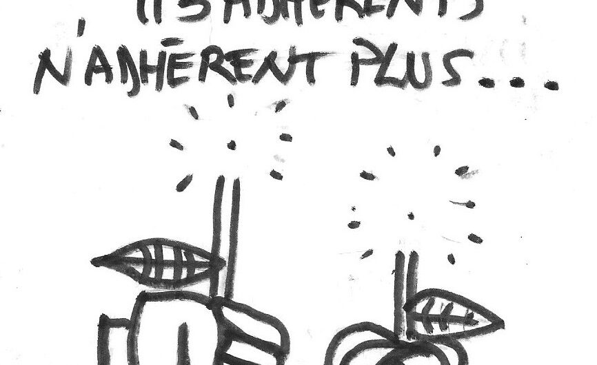 Politique : La rose lyonnaise se fane de plus en plus