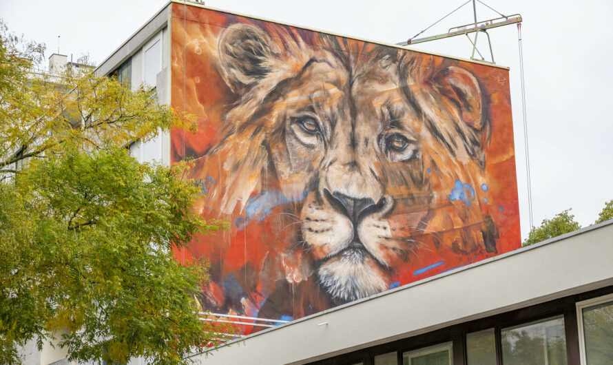 Le Street Art Rillieux Festival revient pour une 5e édition